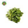 E10 硯菜 Chinese Spinach