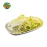 E16 大白菜 Chinese Cabbage