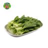 E17 小白菜 Small Cabbage