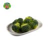 E7 青花椰菜 Broccoli