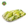 E9 大陸A菜 (A) Vegetable
